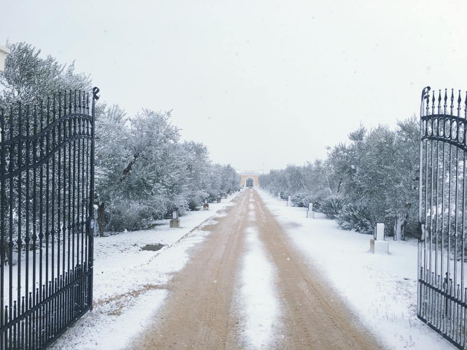 Tenuta Orsanese Джиноза-Марина Экстерьер фото